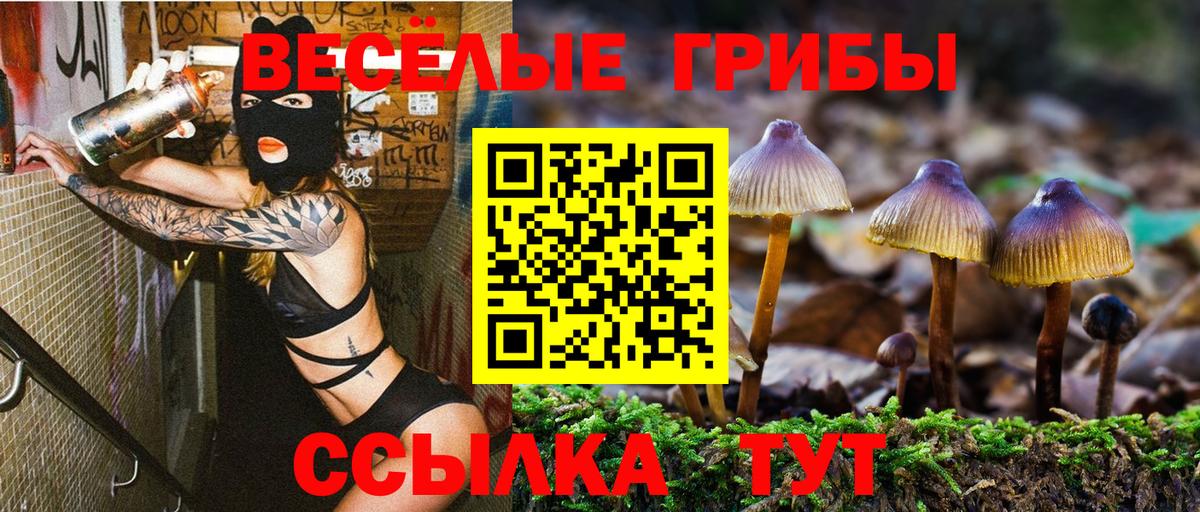 Лесозаводск  где продают наркотики  Вход с VPN  Псилоцибиновые грибы Cubensis 